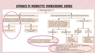 approach to anemia in children-undergraduates lecture | PPTX