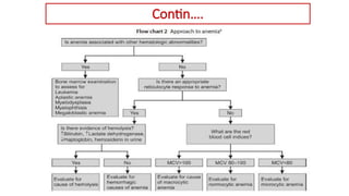 Comprehensive Nursing Guide to Anemia: Diagnosis and Management | PPTX