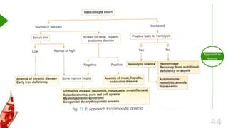 44
Approach to
Anemia
 