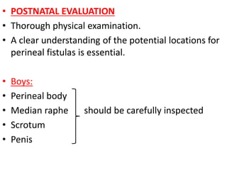 • POSTNATAL EVALUATION
• Thorough physical examination.
• A clear understanding of the potential locations for
perineal fistulas is essential.
• Boys:
• Perineal body
• Median raphe should be carefully inspected
• Scrotum
• Penis
 