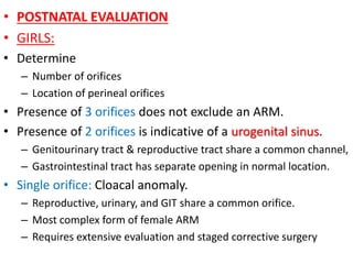 • POSTNATAL EVALUATION
• GIRLS:
• Determine
– Number of orifices
– Location of perineal orifices
• Presence of 3 orifices does not exclude an ARM.
• Presence of 2 orifices is indicative of a urogenital sinus.
– Genitourinary tract & reproductive tract share a common channel,
– Gastrointestinal tract has separate opening in normal location.
• Single orifice: Cloacal anomaly.
– Reproductive, urinary, and GIT share a common orifice.
– Most complex form of female ARM
– Requires extensive evaluation and staged corrective surgery
 