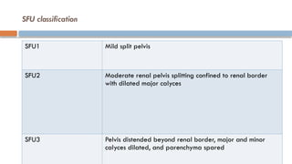 Approach to Antenatal Hydronephrosis.pptx