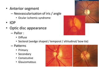 • Anterior segment
– Neovascularisation of iris / angle
• Ocular ischemic syndrome
• IOP
• Optic disc appearance
– Pallor :
• Diffuse
• Sectoral (wedge shaped / temporal / altitudinal/ bow tie)
– Patterns
• Primary
• Secondary
• Consecutive
• Glaucomatous
 