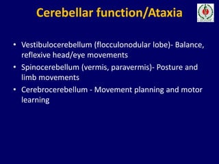 Approach To A Patient With Ataxia