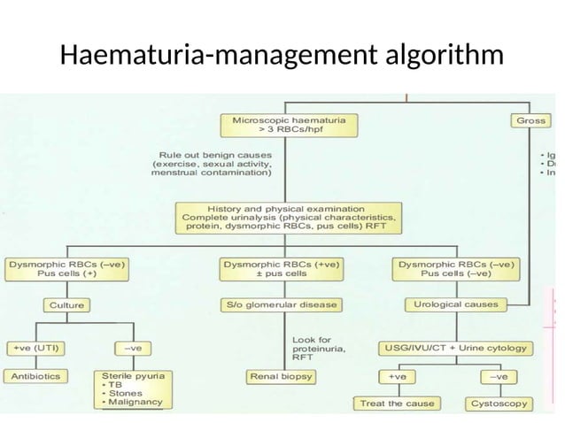 Approach to a patient with hematuria.pptx