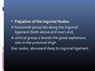  Palpation of the Inguinal Nodes:
A horizontal group lies along the inguinal
   ligament (both above and over) and,
A vertical group is beside the great saphenous
   vein in the proximal thigh.
Iliac nodes: aboveand deep to inguinal ligament
 