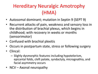 Approach to a patient with peripheral neuropathy