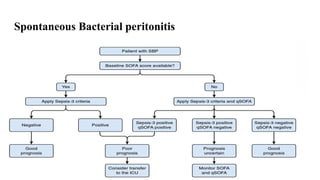 Approach to ascites, spontaneous bacterial peritonitis, hrs | PPTX
