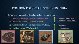 COMMON POISONOUS SNAKES IN INDIA
• In India, >200 species of snakes; only 52 are poisonous.
1. Saw-scaled viper (Echis car...