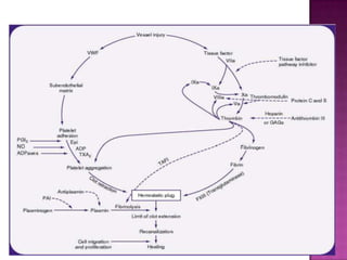 Approach to bleeding disorder (coagulation defects) in children | PPTX