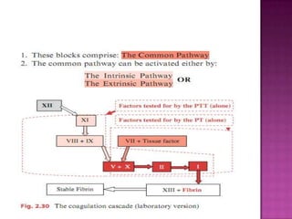 Approach to bleeding disorder (coagulation defects) in children | PPTX
