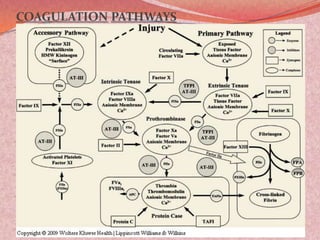 COAGULATION PATHWAYS
 
