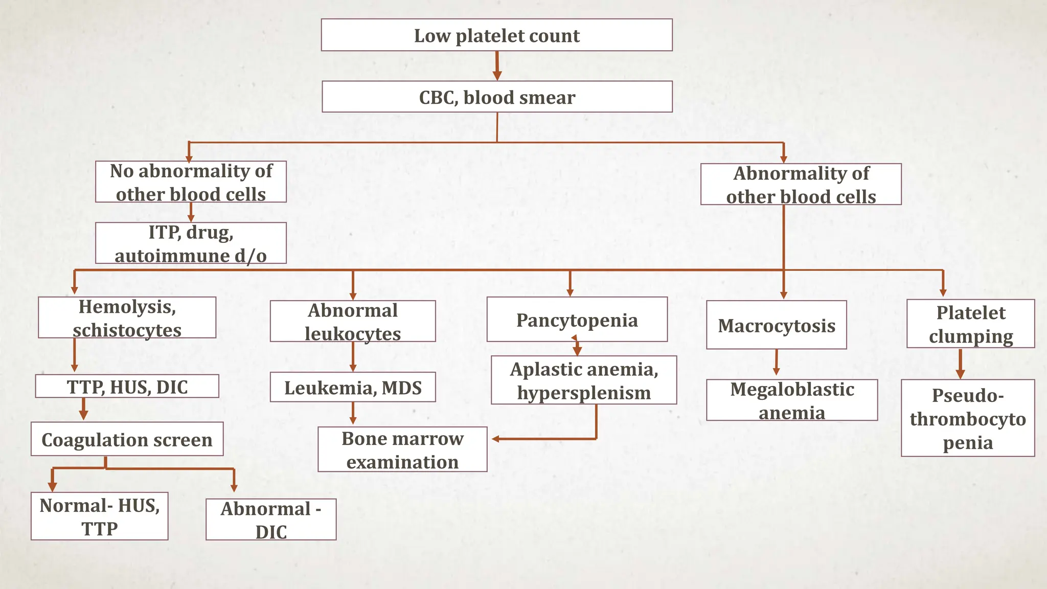 Low platelet count
CBC, blood smear
No abnormality of
other blood cells
Abnormality of
other blood cells
ITP, drug,
autoimmune d/o
Hemolysis,
schistocytes
Abnormal
leukocytes
Pancytopenia Macrocytosis
Platelet
clumping
TTP, HUS, DIC
Coagulation screen
Normal- HUS,
TTP
Leukemia, MDS
Aplastic anemia,
hypersplenism Megaloblastic
anemia
Pseudo-
thrombocyto
penia
Abnormal -
DIC
Bone marrow
examination
 