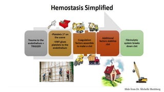 Slide from Dr. Michelle Sholzberg
 