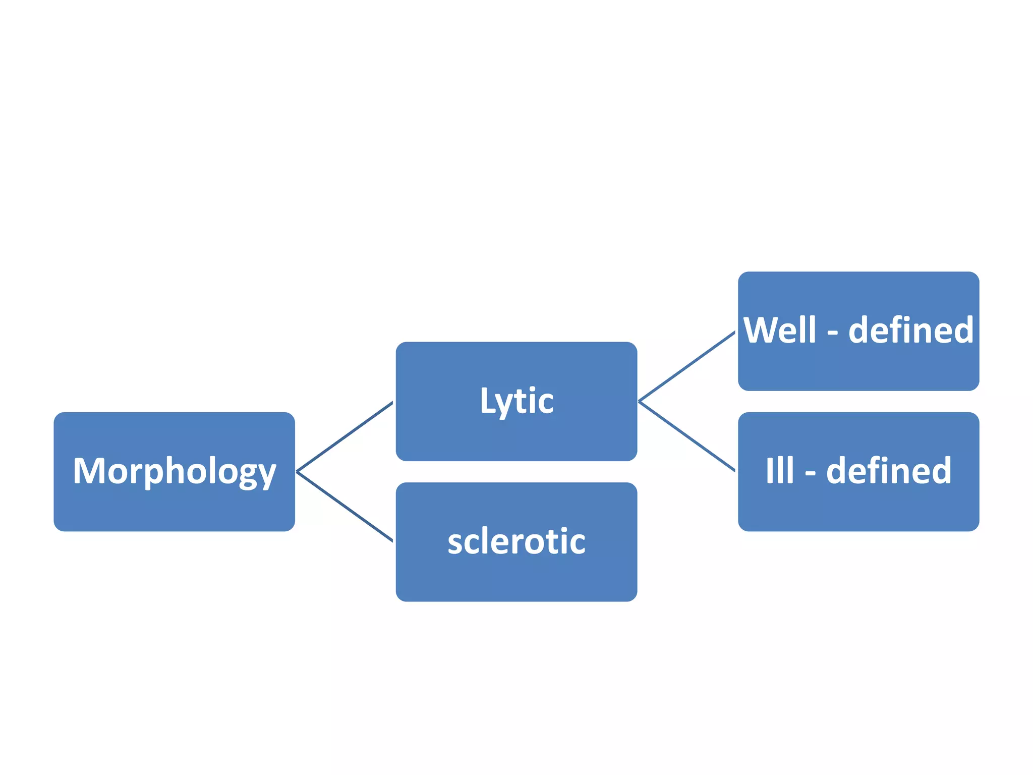 Morphology
Lytic
Well - defined
Ill - defined
sclerotic
 