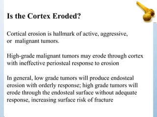 Is the Cortex Eroded?
Cortical erosion is hallmark of active, aggressive,
or malignant tumors.
High-grade malignant tumors may erode through cortex
with ineffective periosteal response to erosion
In general, low grade tumors will produce endosteal
erosion with orderly response; high grade tumors will
erode through the endosteal surface without adequate
response, increasing surface risk of fracture
 