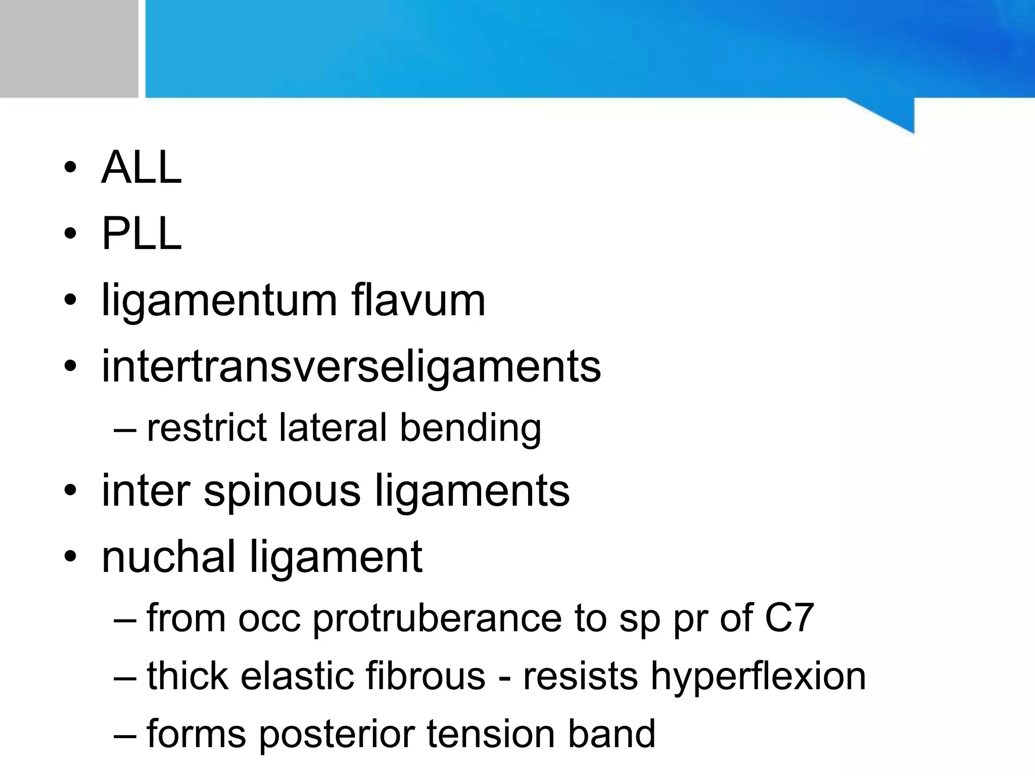• ALL
• PLL
• ligamentum flavum
• intertransverseligaments
– restrict lateral bending
• inter spinous ligaments
• nuchal ligament
– from occ protruberance to sp pr of C7
– thick elastic fibrous - resists hyperflexion
– forms posterior tension band
 