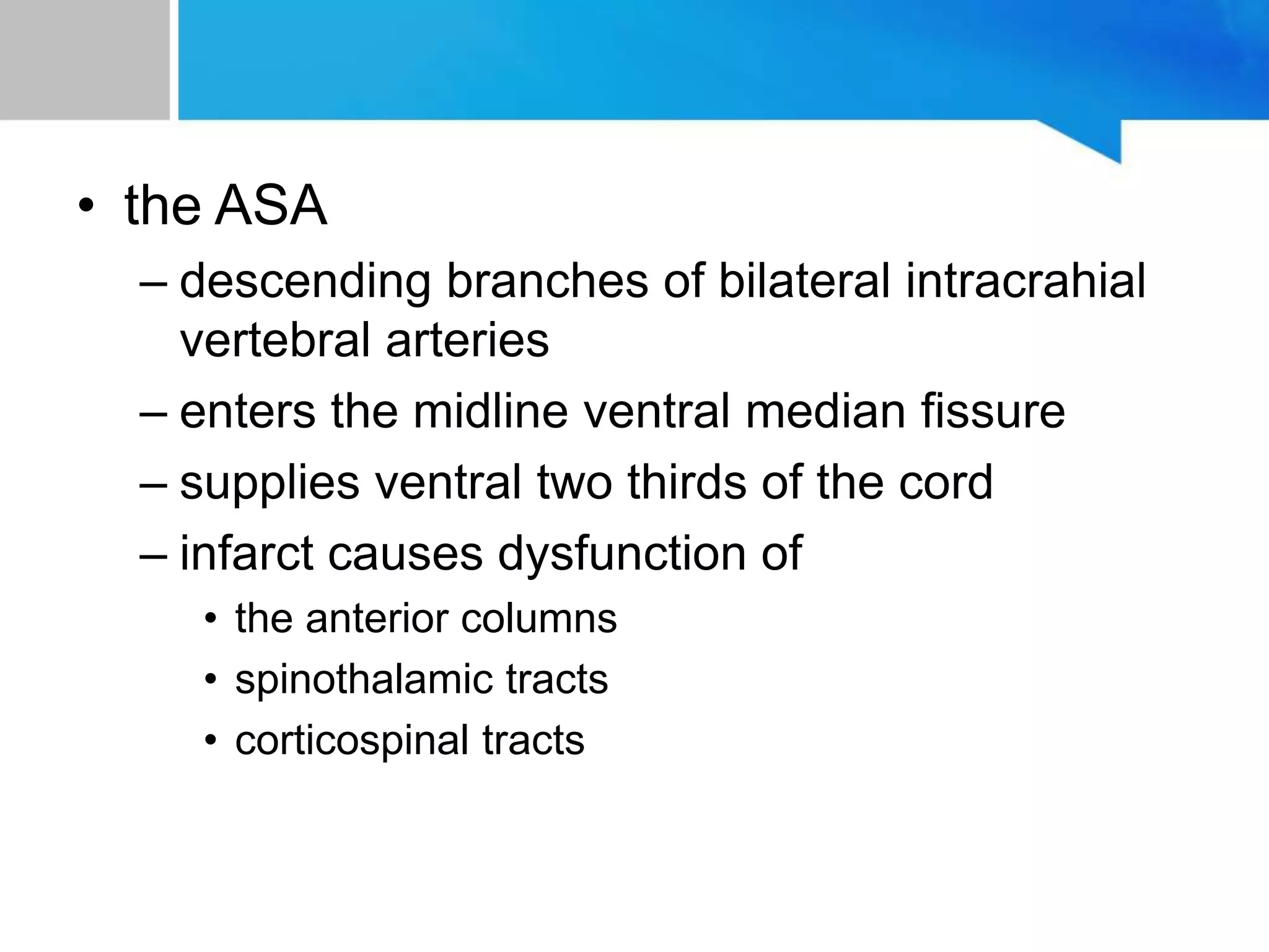 • the ASA
– descending branches of bilateral intracrahial
vertebral arteries
– enters the midline ventral median fissure
– supplies ventral two thirds of the cord
– infarct causes dysfunction of
• the anterior columns
• spinothalamic tracts
• corticospinal tracts
 