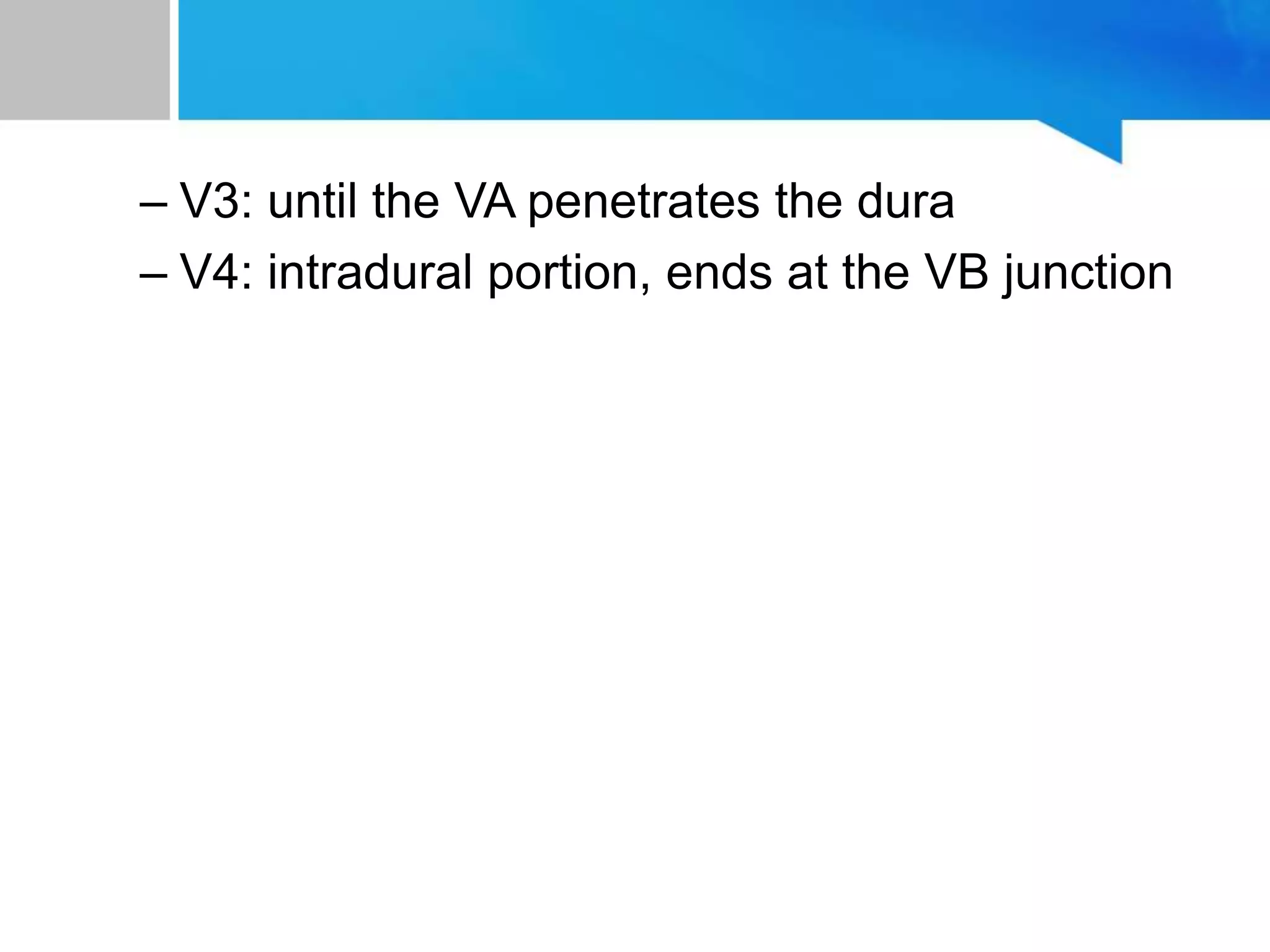 – V3: until the VA penetrates the dura
– V4: intradural portion, ends at the VB junction
 
