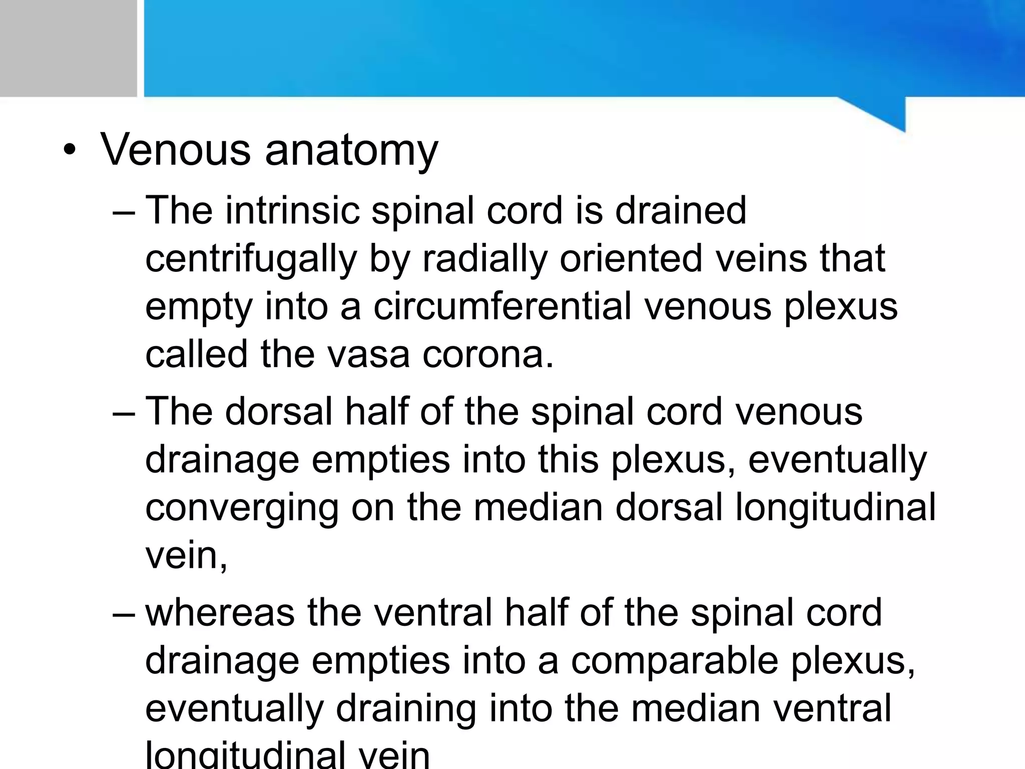 • Venous anatomy
– The intrinsic spinal cord is drained
centrifugally by radially oriented veins that
empty into a circumferential venous plexus
called the vasa corona.
– The dorsal half of the spinal cord venous
drainage empties into this plexus, eventually
converging on the median dorsal longitudinal
vein,
– whereas the ventral half of the spinal cord
drainage empties into a comparable plexus,
eventually draining into the median ventral
 