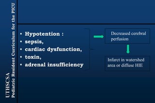 UTHSCSA
PediatricResidentCurriculumforthePICU
• Hypotention :
• sepsis,
• cardiac dysfunction,
• toxin,
• adrenal insufficiency
Decreased cerebral
perfusion
Infarct in watershed
area or diffuse HIE
 