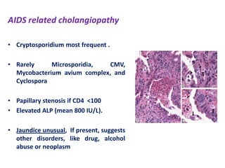AIDS related cholangiopathy
• Cryptosporidium most frequent .
• Rarely
Microsporidia,
CMV,
Mycobacterium avium complex, and
Cyclospora
• Papillary stenosis if CD4 <100
• Elevated ALP (mean 800 IU/L).
• Jaundice unusual, If present, suggests
other disorders, like drug, alcohol
abuse or neoplasm

 