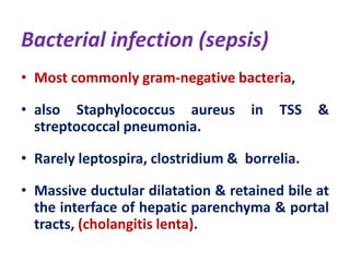 Bacterial infection (sepsis)
• Most commonly gram-negative bacteria,
• also Staphylococcus aureus
streptococcal pneumonia.

in

TSS

&

• Rarely leptospira, clostridium & borrelia.
• Massive ductular dilatation & retained bile at
the interface of hepatic parenchyma & portal
tracts, (cholangitis lenta).

 