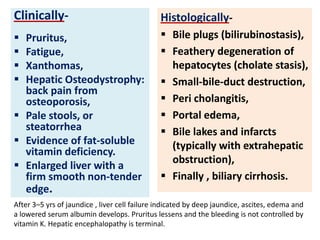 Clinically-

Histologically-






 Bile plugs (bilirubinostasis),
 Feathery degeneration of
hepatocytes (cholate stasis),
 Small-bile-duct destruction,
 Peri cholangitis,
 Portal edema,
 Bile lakes and infarcts
(typically with extrahepatic
obstruction),
 Finally , biliary cirrhosis.

Pruritus,
Fatigue,
Xanthomas,
Hepatic Osteodystrophy:
back pain from
osteoporosis,
 Pale stools, or
steatorrhea
 Evidence of fat-soluble
vitamin deficiency.
 Enlarged liver with a
firm smooth non-tender
edge.

After 3–5 yrs of jaundice , liver cell failure indicated by deep jaundice, ascites, edema and
a lowered serum albumin develops. Pruritus lessens and the bleeding is not controlled by
vitamin K. Hepatic encephalopathy is terminal.

 