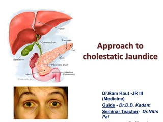 Approach to
cholestatic Jaundice

Dr.Ram Raut -JR III
(Medicine)
Guide - Dr.D.B. Kadam
Seminar Teacher- Dr.Nitin
Pai

 