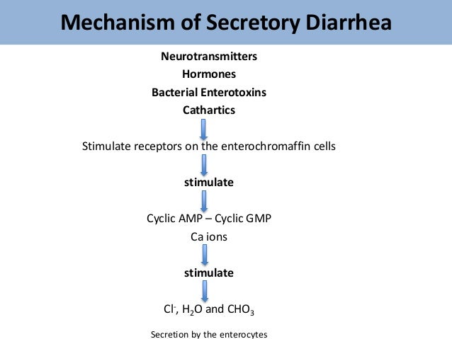 can metoclopramide cause diarrhea