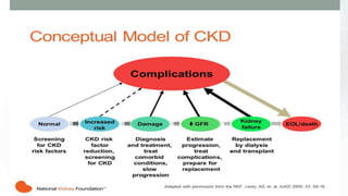 Approach to Chronic Kidney Diseases | PPTX