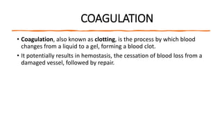 Approach to coagulation disorders ppt.pptx