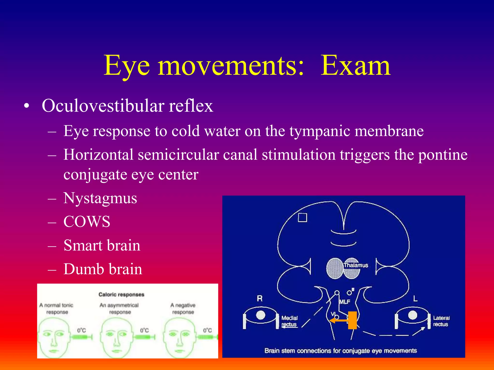 Eye movements:  ExamOculovestibular reflexEye response to cold water on the tympanic membraneHorizontal semicircular canal stimulation triggers the pontine conjugate eye centerNystagmusCOWSSmart brainDumb brain