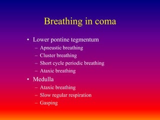 Breathing in comaLower pontine tegmentumApneustic breathingCluster breathingShort cycle periodic breathingAtaxic breathingMedullaAtaxic breathingSlow regular respirationGasping