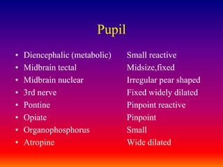 PupilDiencephalic (metabolic) 	Small reactiveMidbrain tectal 			Midsize,fixedMidbrain nuclear 		Irregular pear shaped3rd nerve 				Fixed widely dilatedPontine				Pinpoint reactiveOpiate				PinpointOrganophosphorus 		SmallAtropine 				Wide dilated