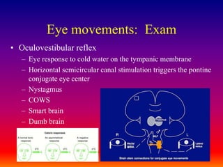 Eye movements:  ExamOculovestibular reflexEye response to cold water on the tympanic membraneHorizontal semicircular canal stimulation triggers the pontine conjugate eye centerNystagmusCOWSSmart brainDumb brain
