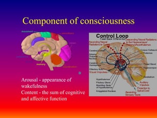 Component of consciousnessArousal - appearance of wakefulnessContent - the sum of cognitive and affective function