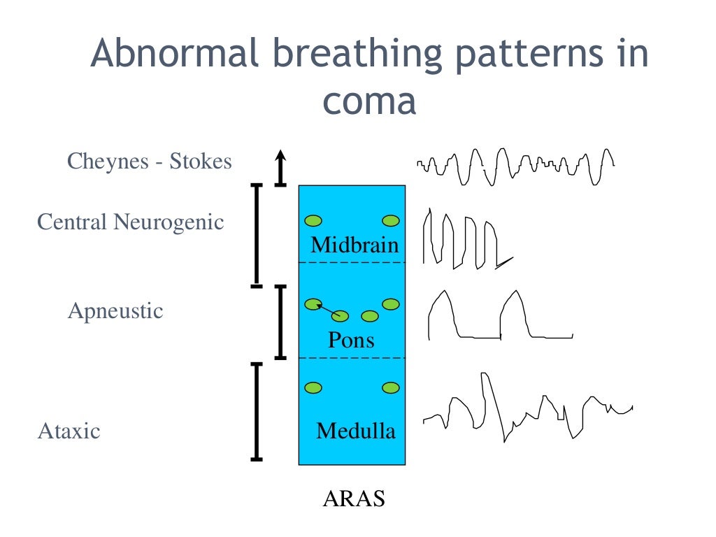 Approach to the Comatose patient