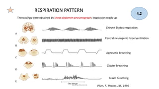 Atxic Respiratory Pattern Approach to Coma - April 2023 x | PPTX