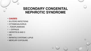 Api Samreena Approach to congenital nephrotic syndrome in child Samreena abid G18.pptx
