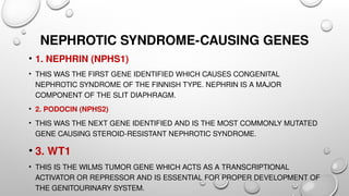 Approach to congenital nephrotic syndrome in child Samreena abid G18.pptx