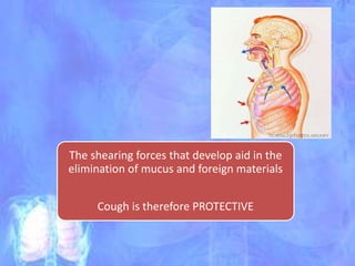 The shearing forces that develop aid in the
elimination of mucus and foreign materials
Cough is therefore PROTECTIVE
 