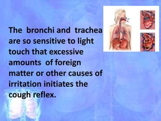 The bronchi and trachea
are so sensitive to light
touch that excessive
amounts of foreign
matter or other causes of
irritation initiates the
cough reflex.
 