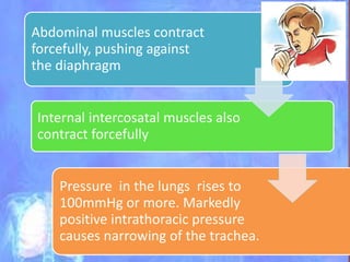 Abdominal muscles contract
forcefully, pushing against
the diaphragm
Internal intercosatal muscles also
contract forcefully
Pressure in the lungs rises to
100mmHg or more. Markedly
positive intrathoracic pressure
causes narrowing of the trachea.
 