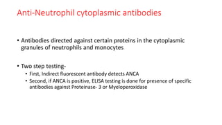 Anti-Neutrophil cytoplasmic antibodies
• Antibodies directed against certain proteins in the cytoplasmic
granules of neutrophils and monocytes
• Two step testing-
• First, Indirect fluorescent antibody detects ANCA
• Second, if ANCA is positive, ELISA testing is done for presence of specific
antibodies against Proteinase- 3 or Myeloperoxidase
 