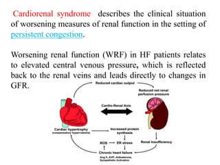 Cardiorenal syndrome describes the clinical situation
of worsening measures of renal function in the setting of
persistent congestion.
Worsening renal function (WRF) in HF patients relates
to elevated central venous pressure, which is reflected
back to the renal veins and leads directly to changes in
GFR.
 