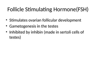 Follicle Stimulating Hormone(FSH)
• Stimulates ovarian follicular development
• Gametogenesis in the testes
• Inhibited by inhibin (made in sertoli cells of
testes)
 