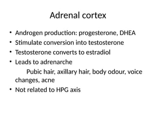 Adrenal cortex
• Androgen production: progesterone, DHEA
• Stimulate conversion into testosterone
• Testosterone converts to estradiol
• Leads to adrenarche
Pubic hair, axillary hair, body odour, voice
changes, acne
• Not related to HPG axis
 