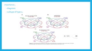 importance ;
- diagnosis
- subtype of type 1 ;
 