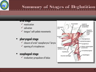 . . . . . . . . . . . . . . . . . . . . . . . . . . . . . . . . . . . . . . . . . . . . . .Summary of Stages of DeglutitionSummary of Stages of Deglutition
• oral stage
 mastication
 salivation
 tongue/ soft palate movements
• pharyngeal stage
 closure of oral/ nasopharynx/ larynx
 opening of cricopharynx
• esophageal stage
 involuntary propulsion of bolus
4
 